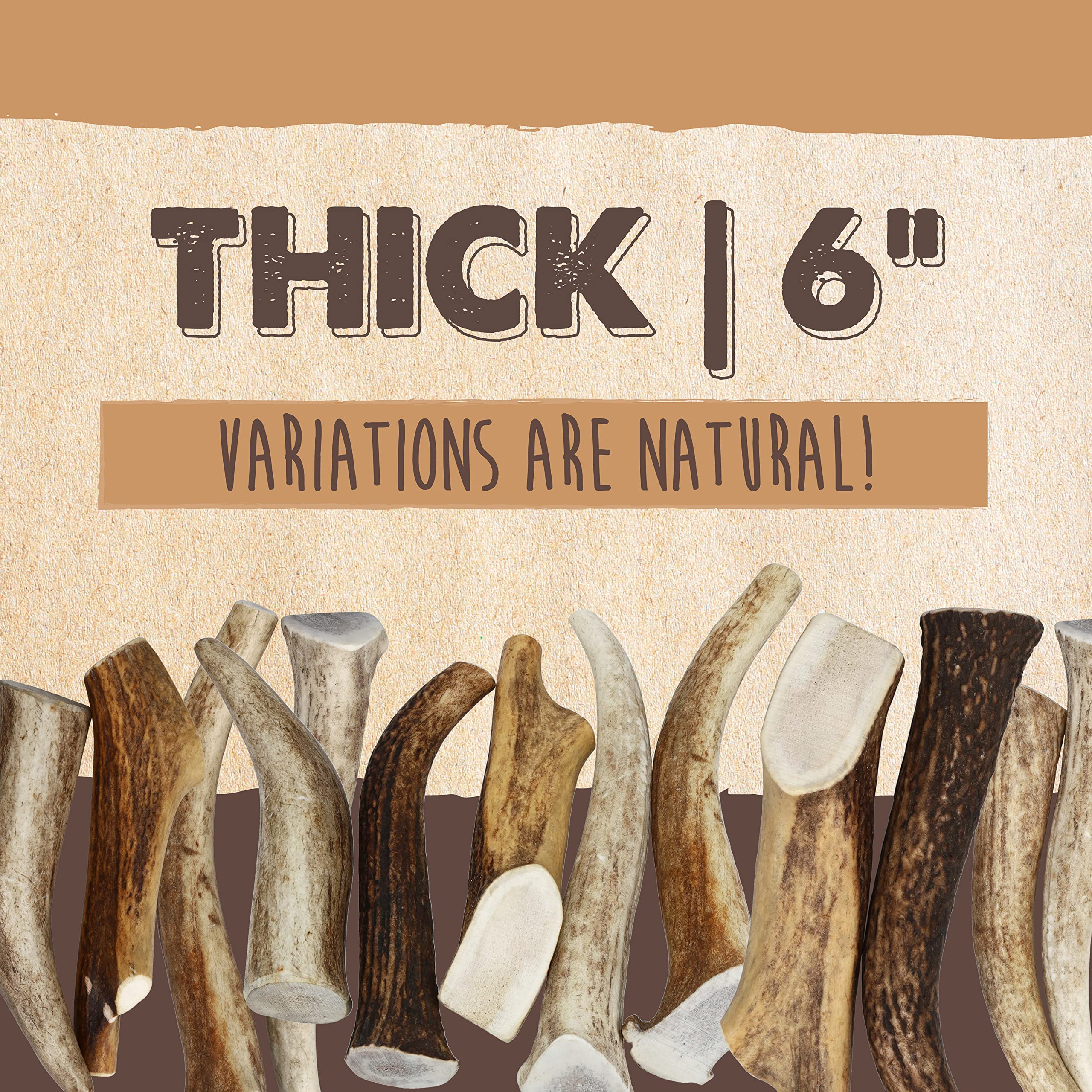 Mighty Paw elk antlers close-up—naturally shed, low-odor chew for dental health.