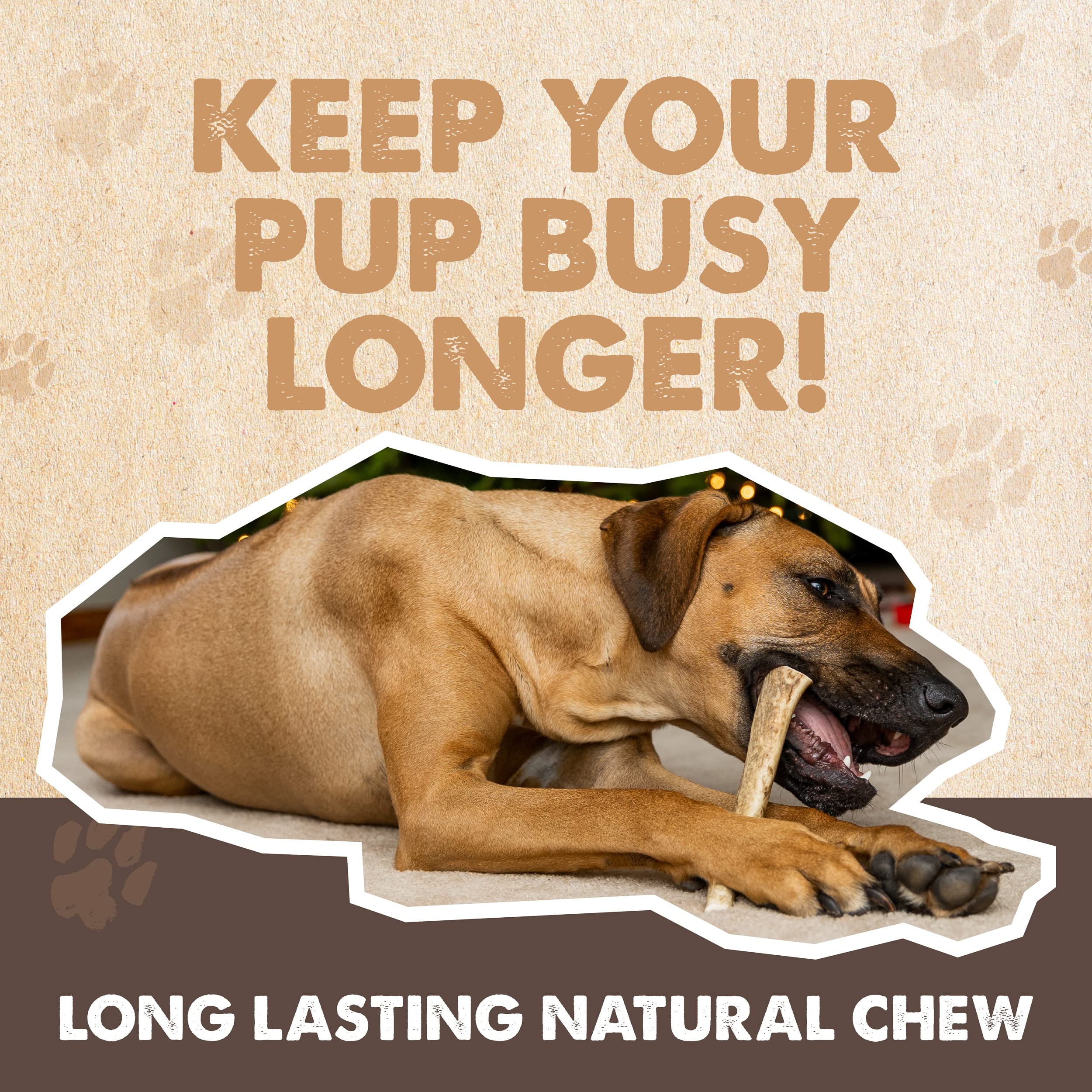 Mighty Paw elk antlers USA-sourced badge emphasizes ethical sourcing.