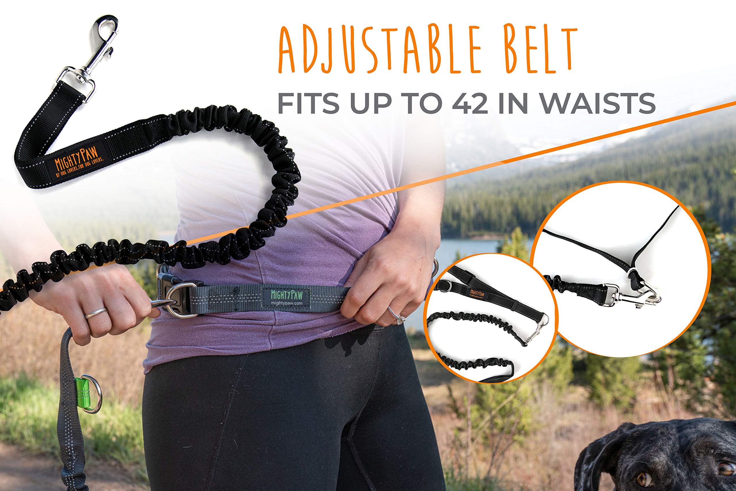 Mighty Paw Hands Free Dog Leash attachment view highlights secure collar tether connection.
