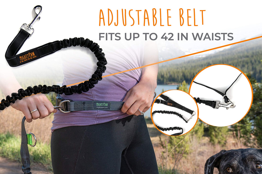 Mighty Paw Hands Free Dog Leash attachment view highlights secure collar tether connection.