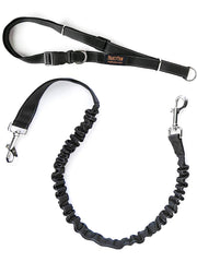 Mighty Paw Hands Free Dog Leash belt enables hands-free walking for busy city sidewalks.