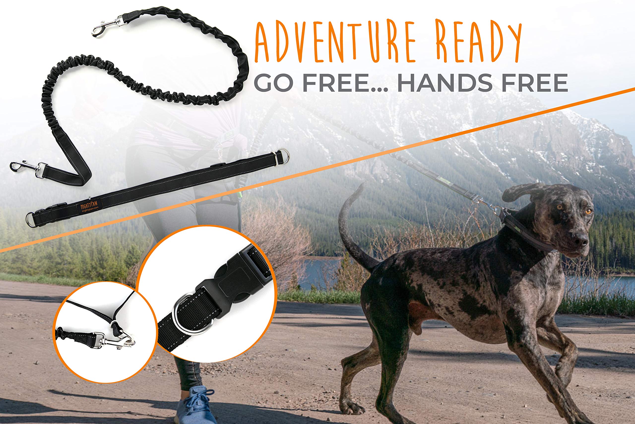 Mighty Paw Hands Free Dog Leash size adjustment shows the 36 to 48 inch belt for comfortable fit.