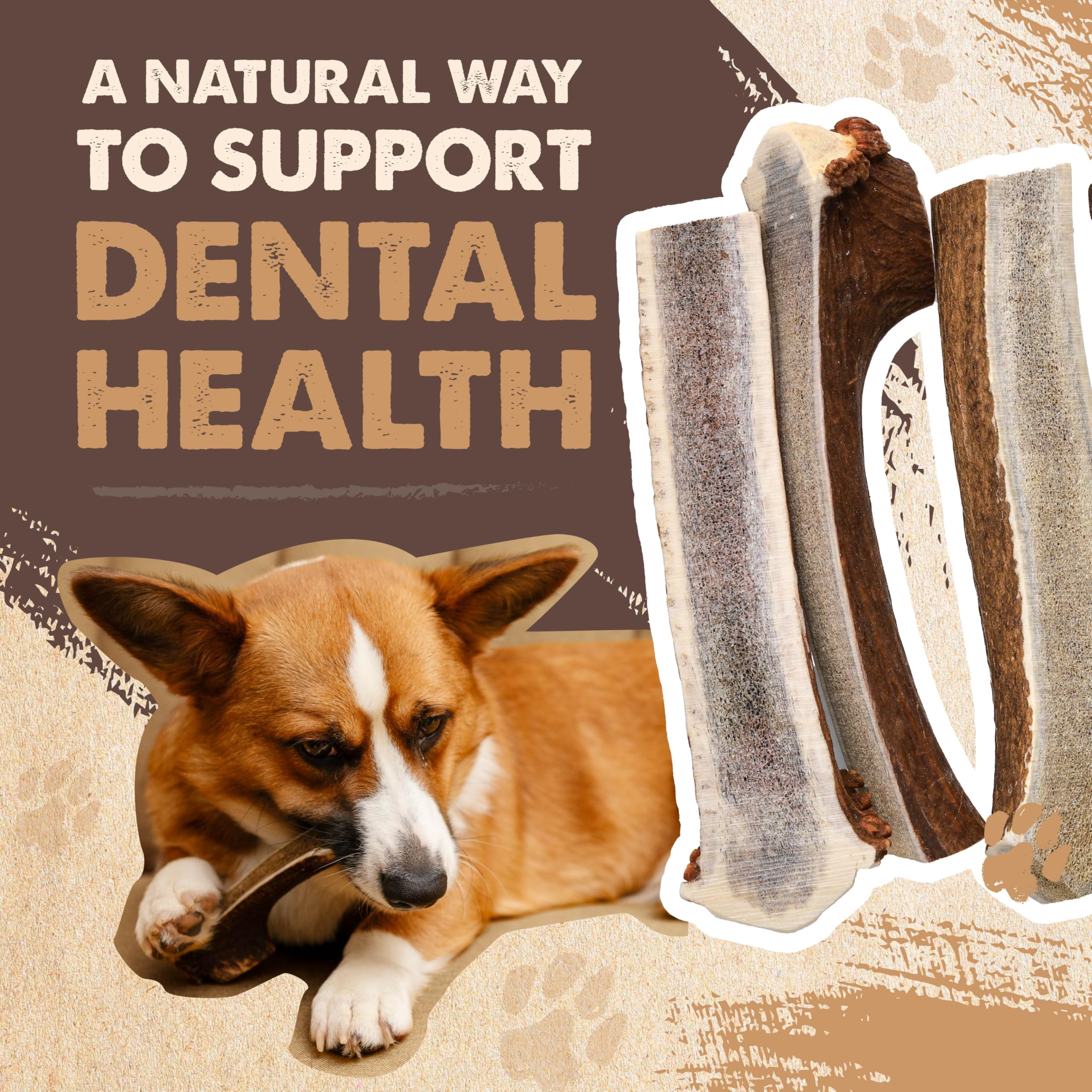 Mighty Paw long-lasting elk antler promotes extended engagement and reduces boredom.