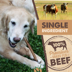 Mighty Paw lower-odor bully sticks reduce strong scent while delivering tasty protein