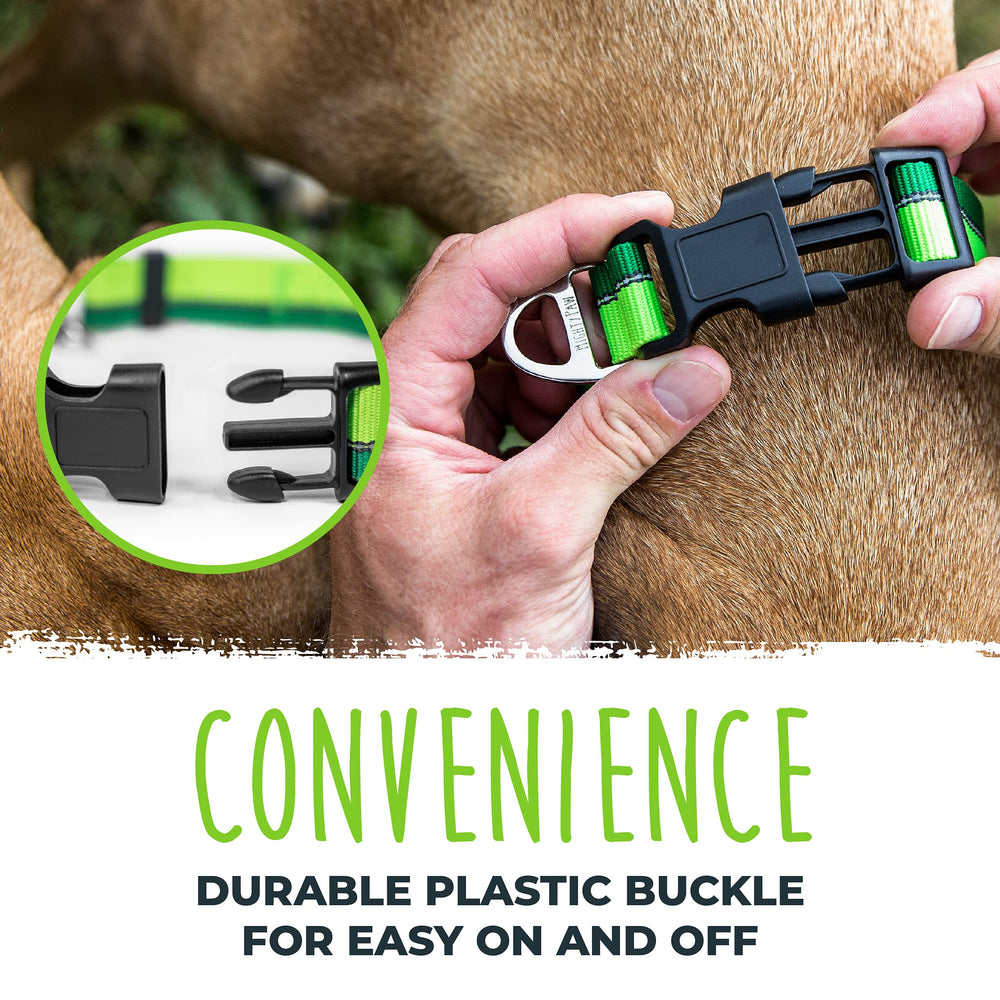 Mighty Paw Martingale Collar 2.0 adjustable fit for large dogs