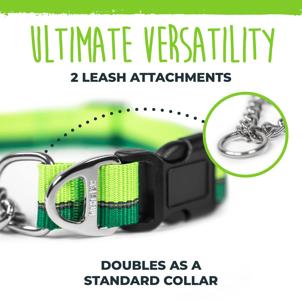 Mighty Paw Martingale Collar 2.0 green collar connected to leash for walks