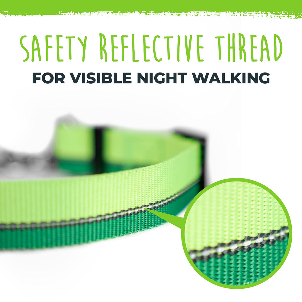 Mighty Paw Martingale Collar 2.0 during a tough outdoor walk