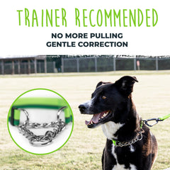 Mighty Paw Martingale Collar 2.0 stainless chain detail on durable collar