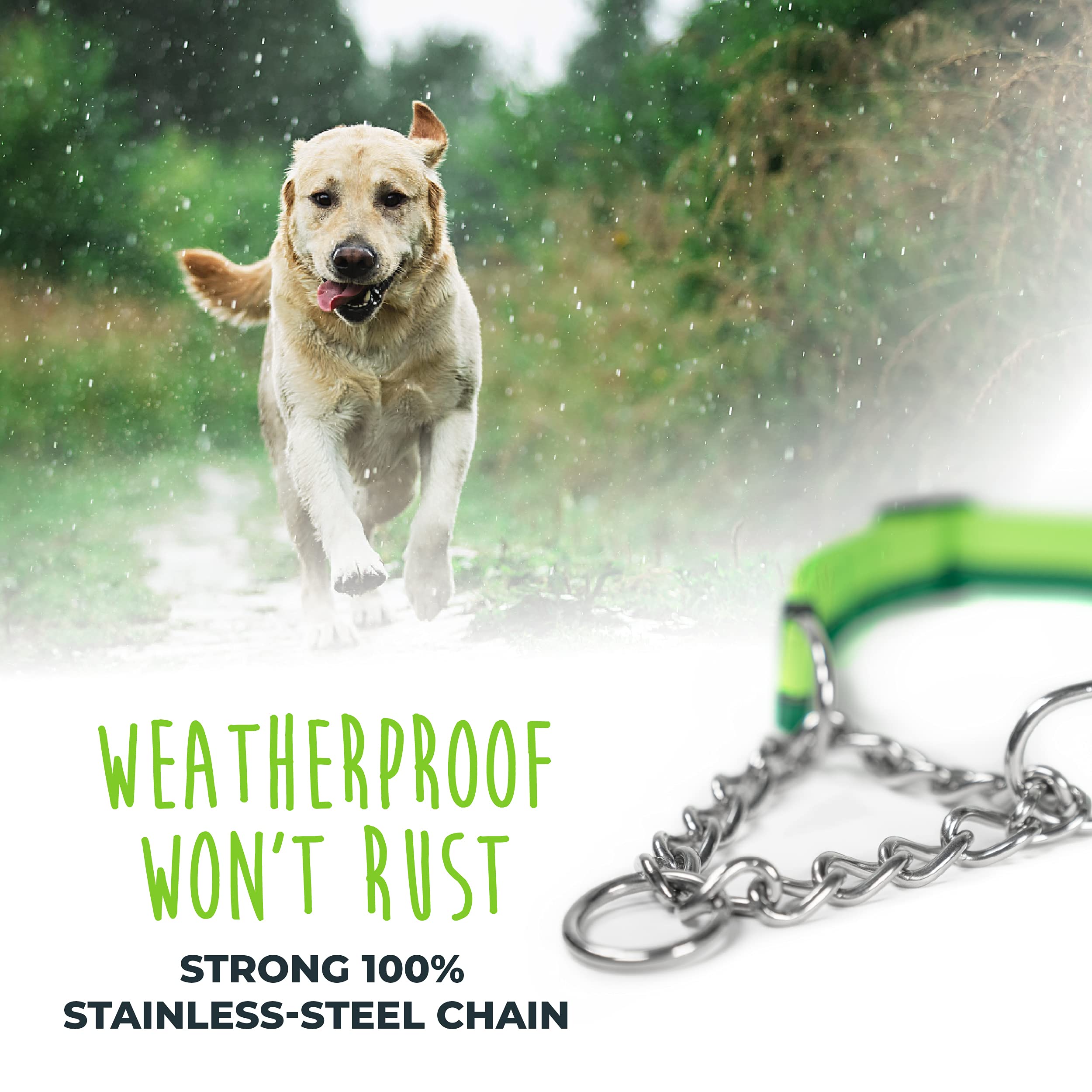Mighty Paw Martingale Collar 2.0 two D-rings for versatile training use