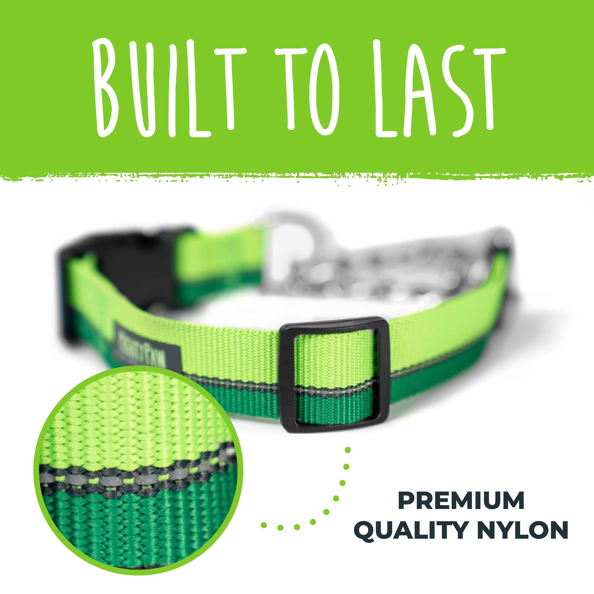 Mighty Paw Martingale Collar 2.0 USA origin highlights quality design