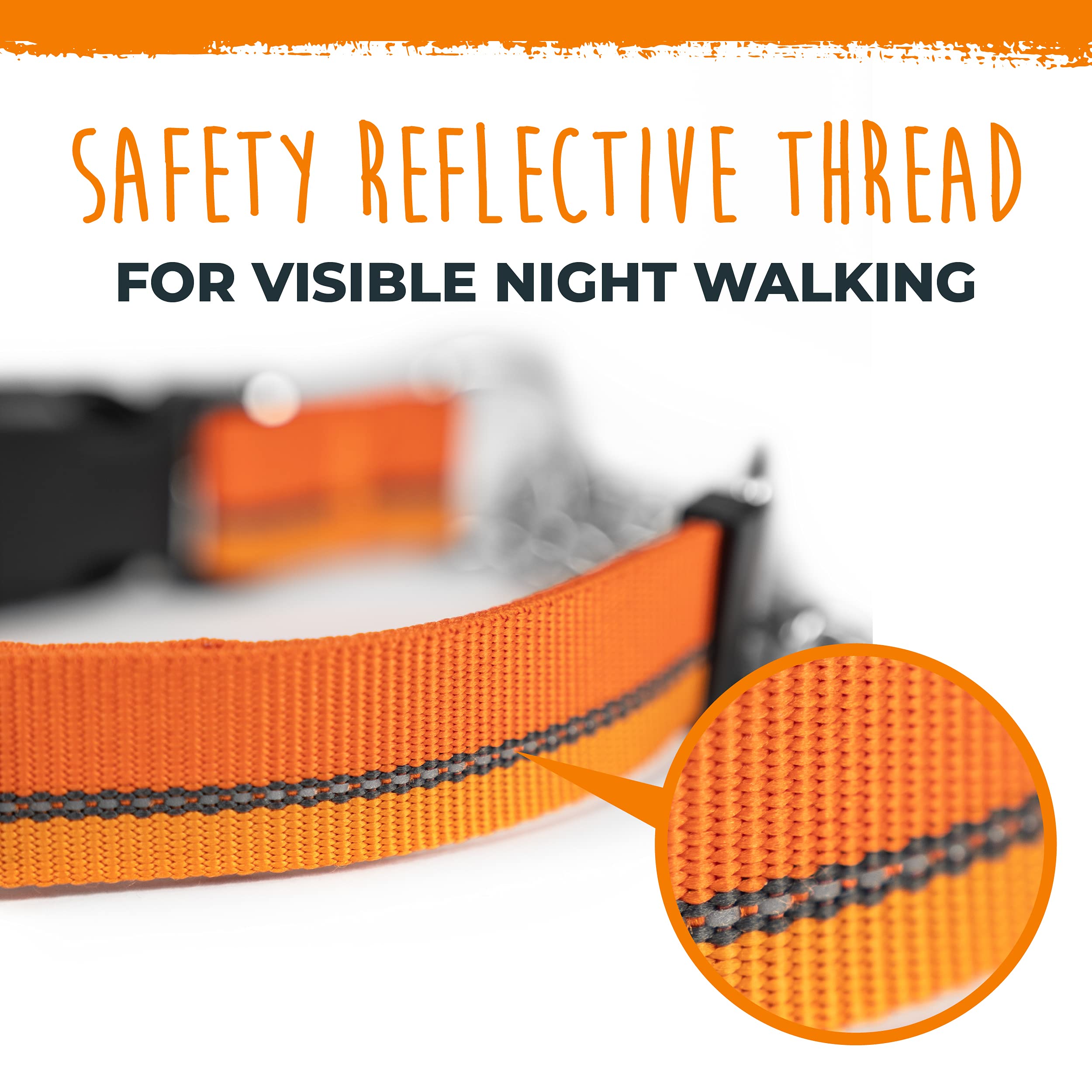 Mighty Paw collar’s cinching action supports quick, humane corrections during walks.