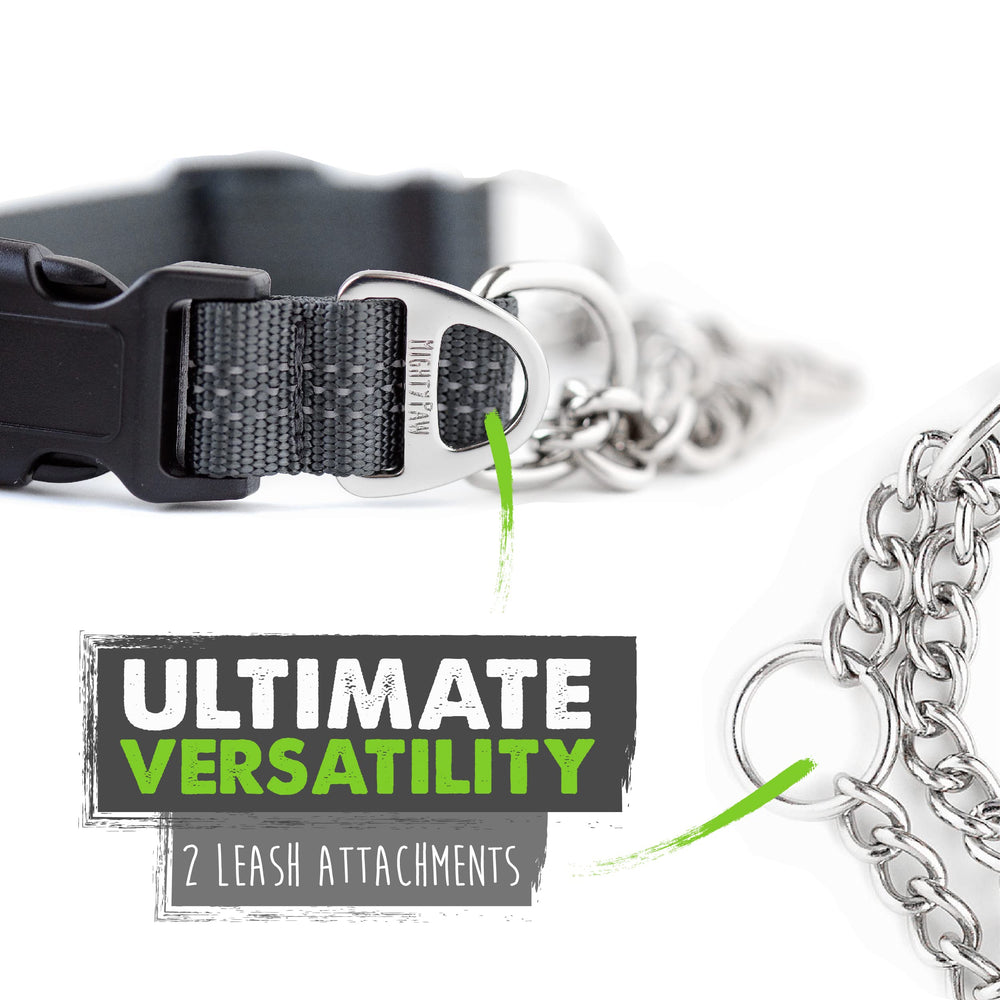 Collar Mighty Paw para entrenamiento suave de perros medianos.