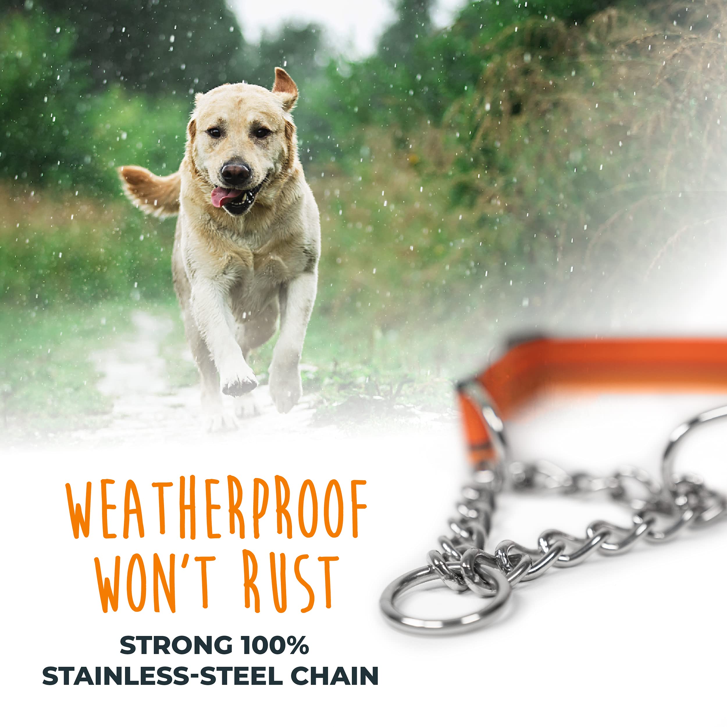Mighty Paw martingale collar reduces pulling through gentle tension guidance.