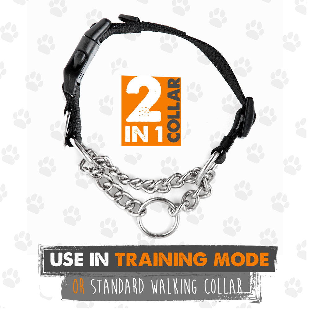 Mighty Paw martingale collar reflective stitching glows at night for safer evening walks.