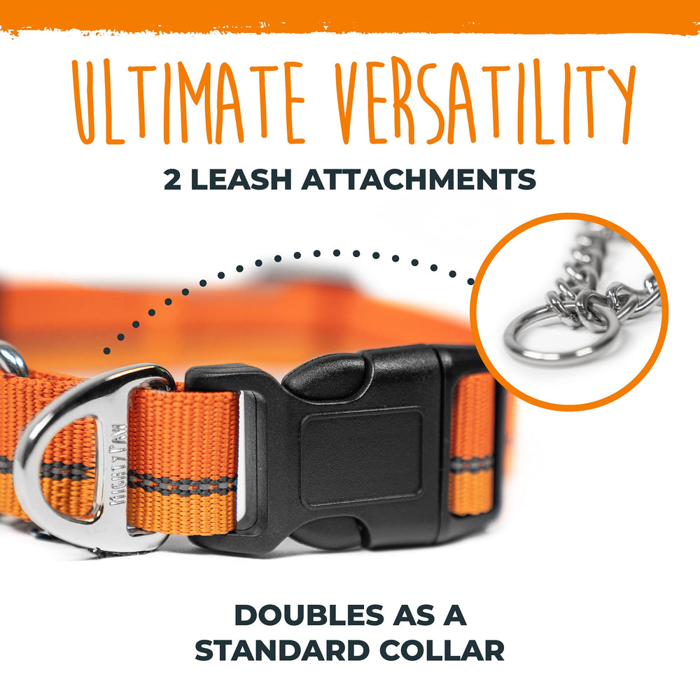 Mighty Paw Martingale Collar is trainer-approved for safer leash control.