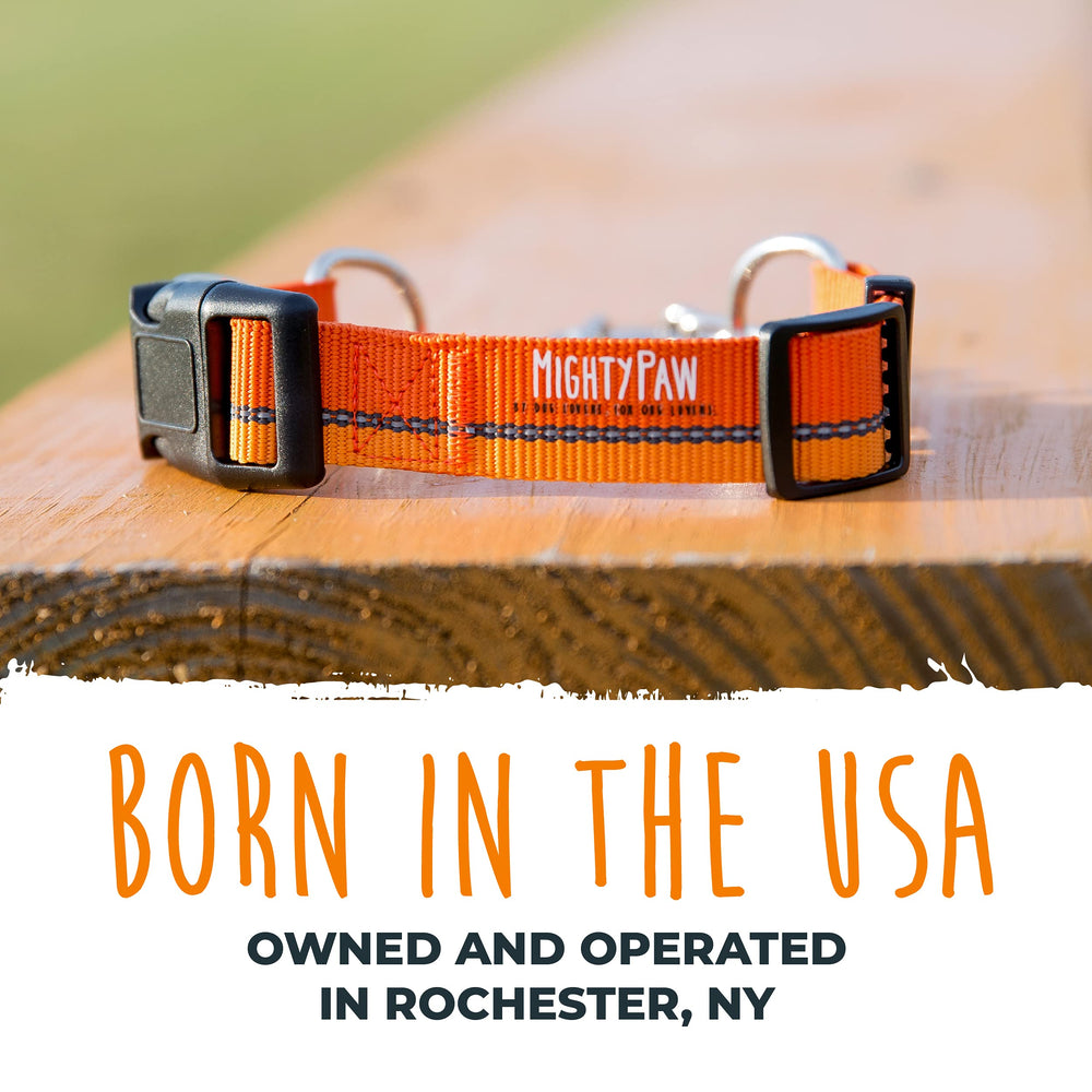 Mighty Paw martingale collar suits rugged outdoor adventures with durable nylon.