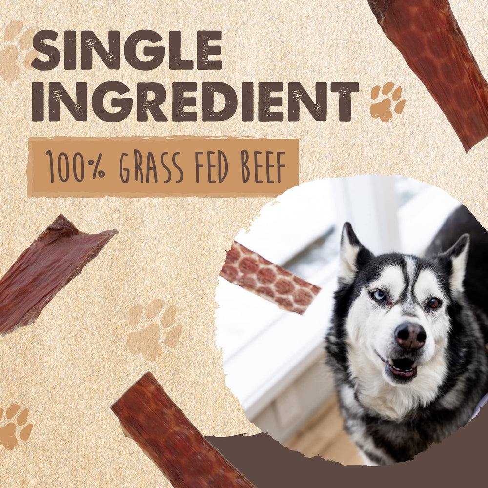 Mighty Paw Naturals beef gullet jerky strips closeup highlights chewy texture ideal for rewarding dogs