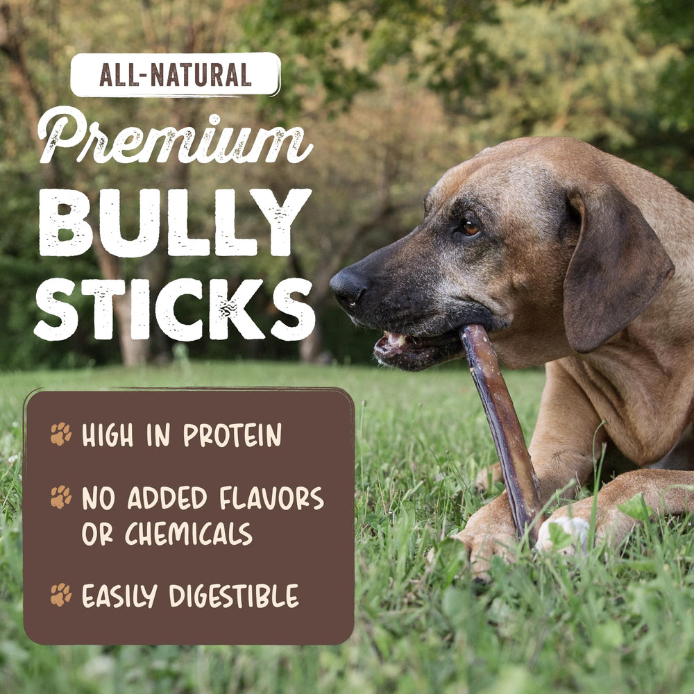 Mighty Paw Naturals bully sticks shown for large dogs ready for powerful chews.