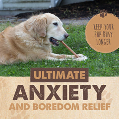 Mighty Paw Naturals lower-odor bully sticks reduce household smell during chew time.