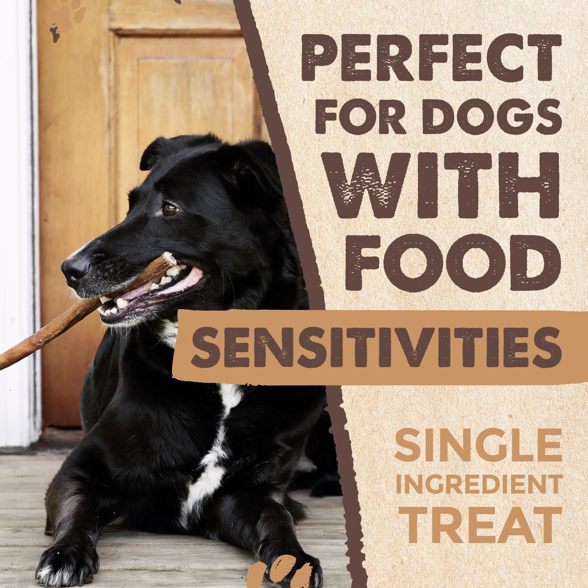 Mighty Paw Naturals grass-fed beef chew shown in action with happy dog.