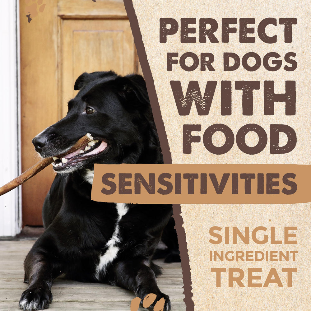 Mighty Paw Naturals grass-fed beef chew shown in action with happy dog.