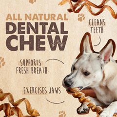 Grass-fed beef bully sticks close-up - single ingredient simplicity for dogs