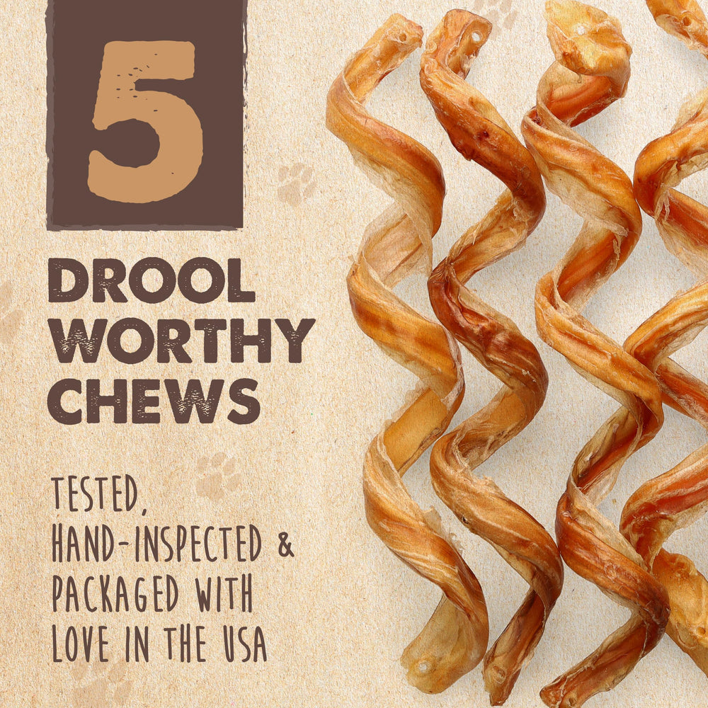 Dog happily chews 12 inch bully stick during playtime - natural beef flavor