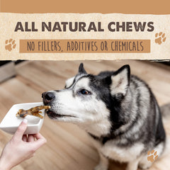 Mighty Paw Naturals dog enjoying chicken feet treats, ideal for rewarding calm moments.