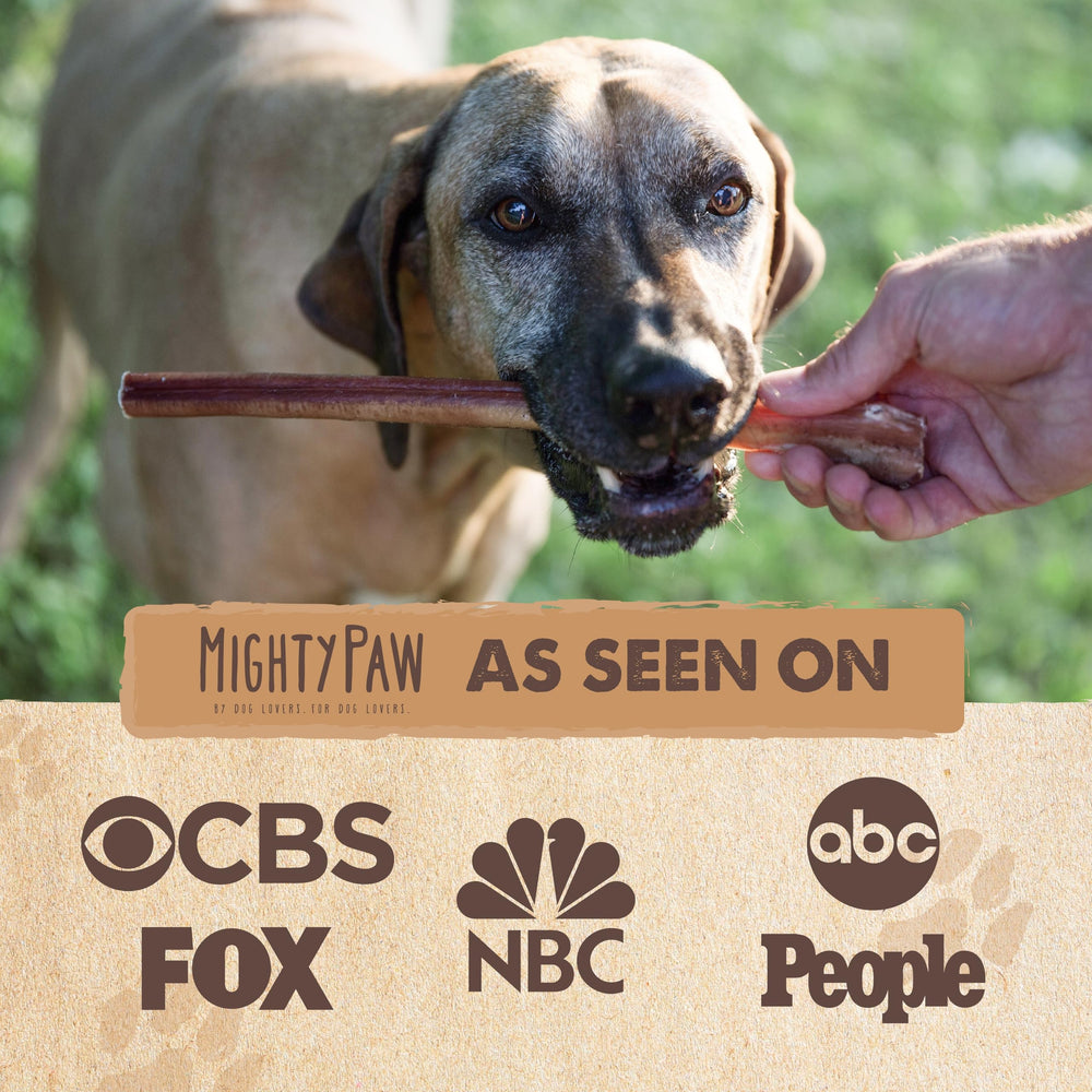 Mighty Paw Naturals grass-fed-beef-chew image highlights a natural single-ingredient treat.