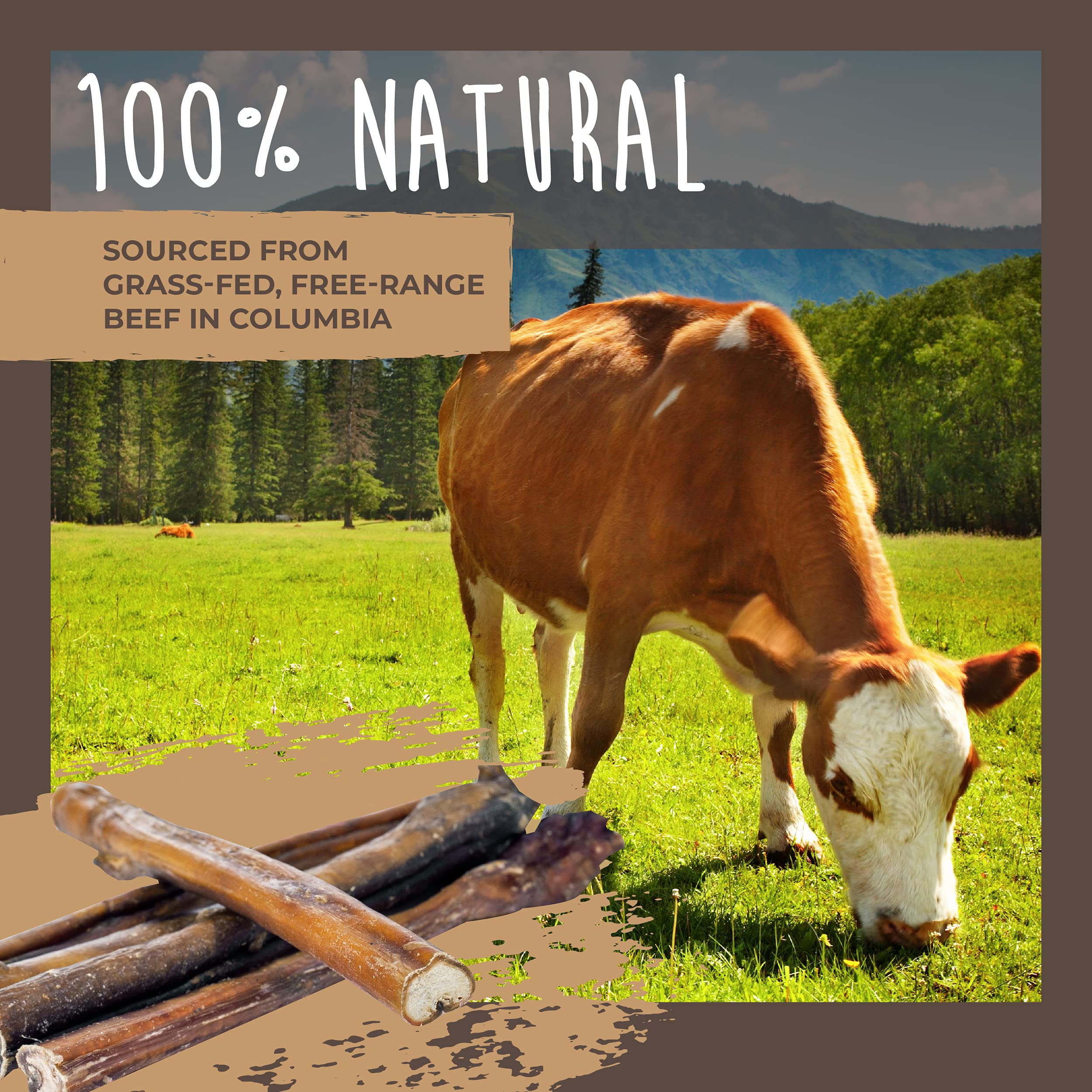 Mighty Paw Naturals Large-Dog Bully Stick portion designed for big breeds.