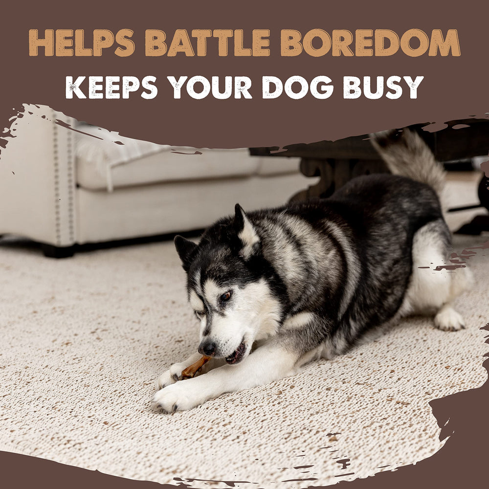 Mighty Paw Naturals low-odor, crunchy texture dogs can chew comfortably.