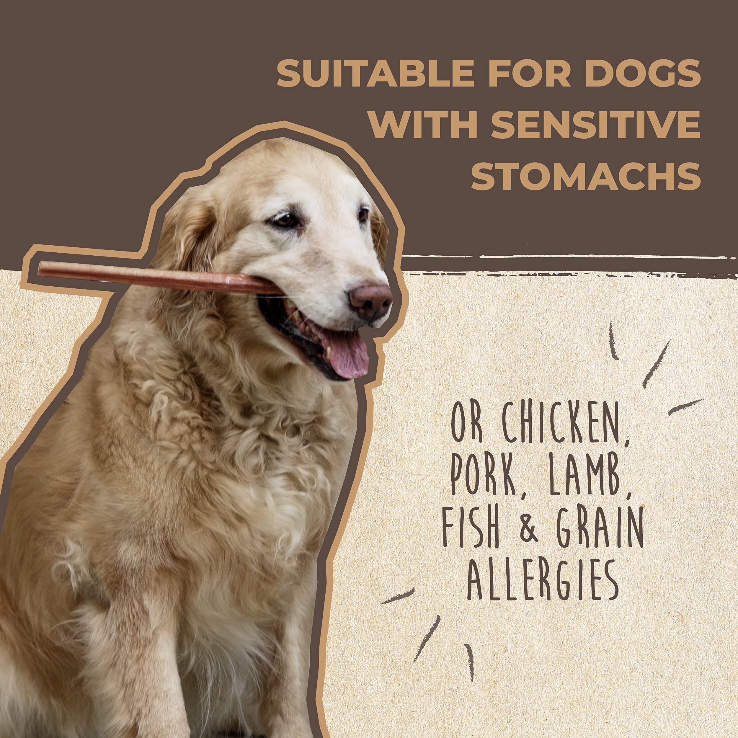 Mighty Paw Naturals Single-Ingredient badge emphasizes simple, pure chewing.