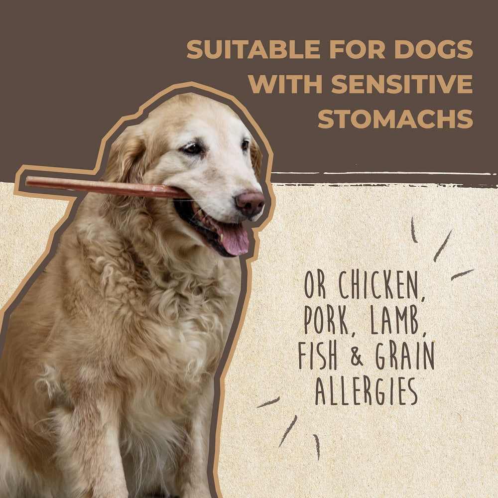 Mighty Paw Naturals Single-Ingredient badge emphasizes simple, pure chewing.