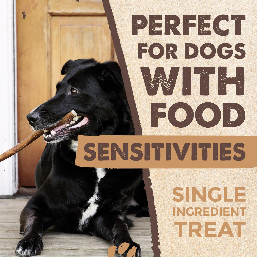 Mighty Paw Naturals USA-packaging photo reflecting family-owned craftsmanship