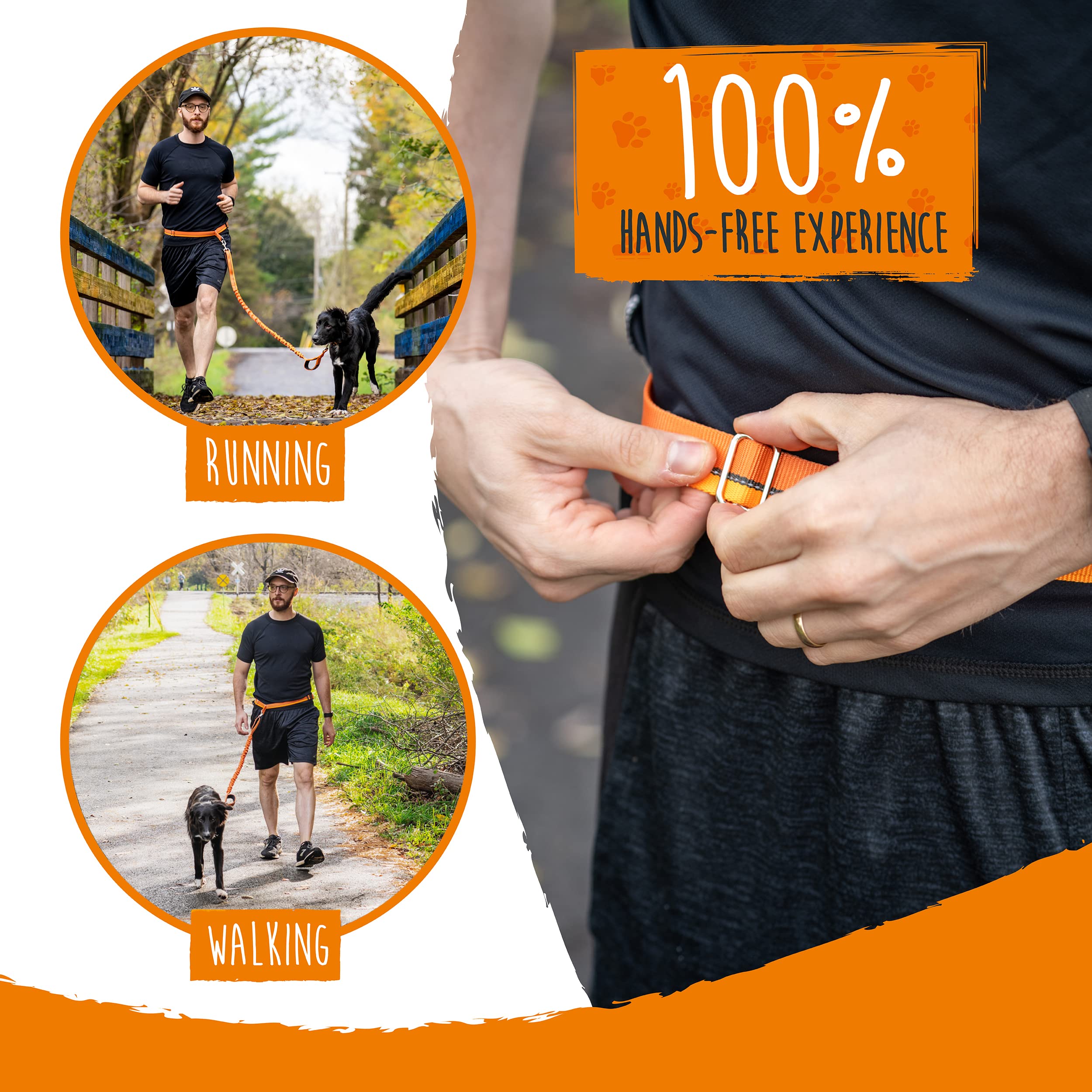 Mighty Paw orange leash visible for high visibility during day or dusk
