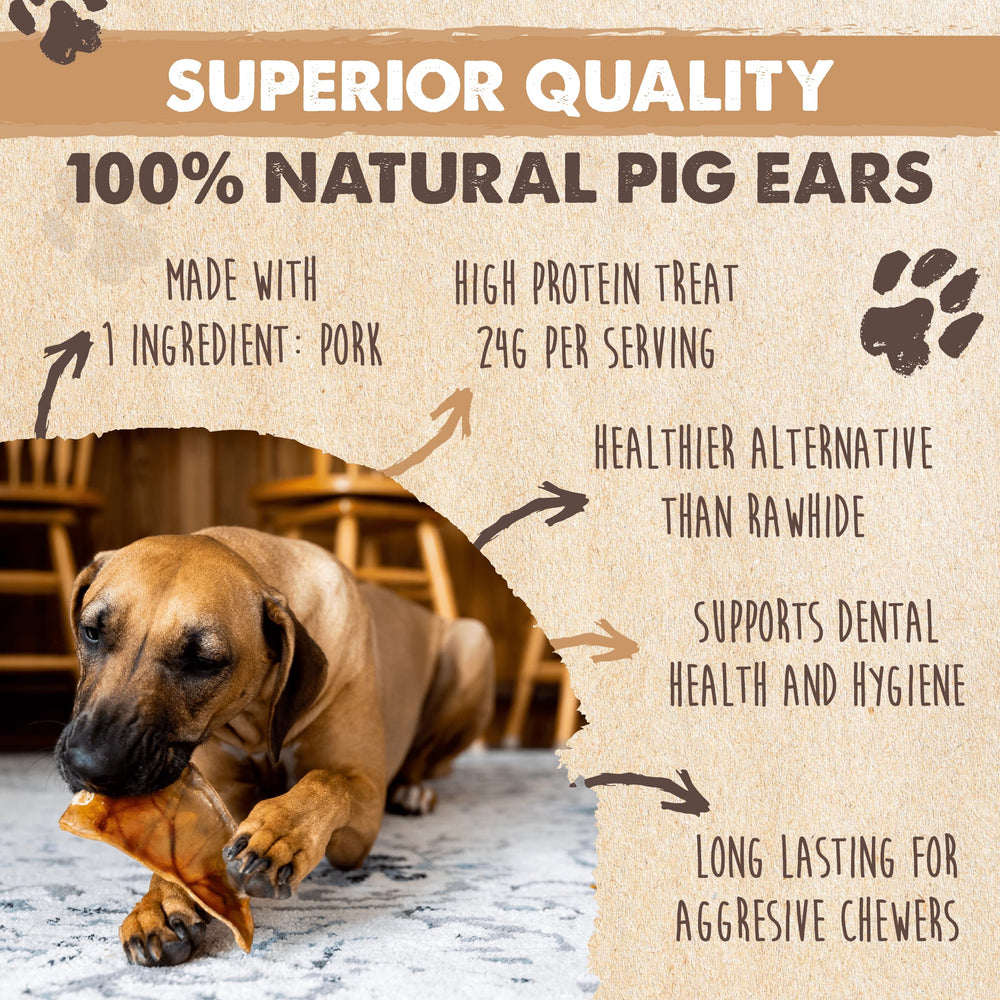 Mighty Paw Pig Ears Closeup Texture — thick, satisfying chew for dogs.