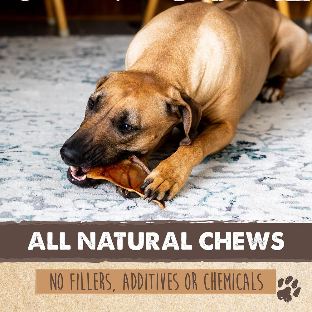 Mighty Paw Pig Ears Pack 12 Half Ears — easy portioning for puppies and dogs.