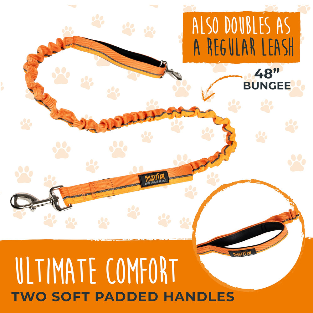 Mighty Paw quick-release clip emphasizes easy detachment