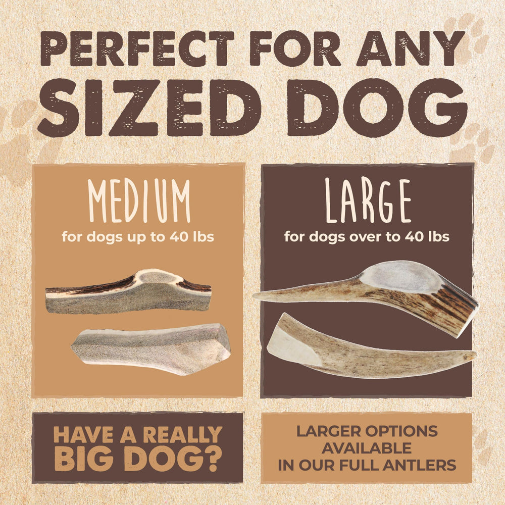 Mighty Paw rawhide alternative elk antler provides a natural chew free from added chemicals.