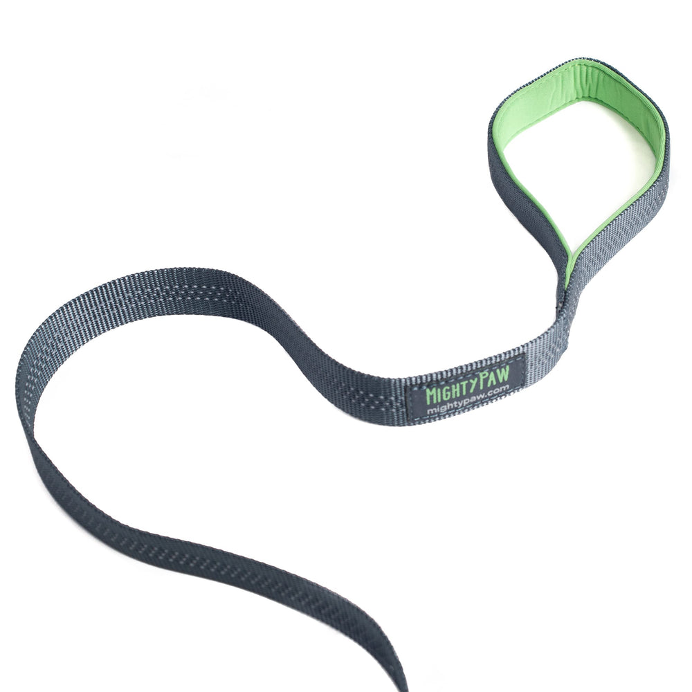 Mighty Paw reflective stitching boosts visibility for early morning or evening walks.