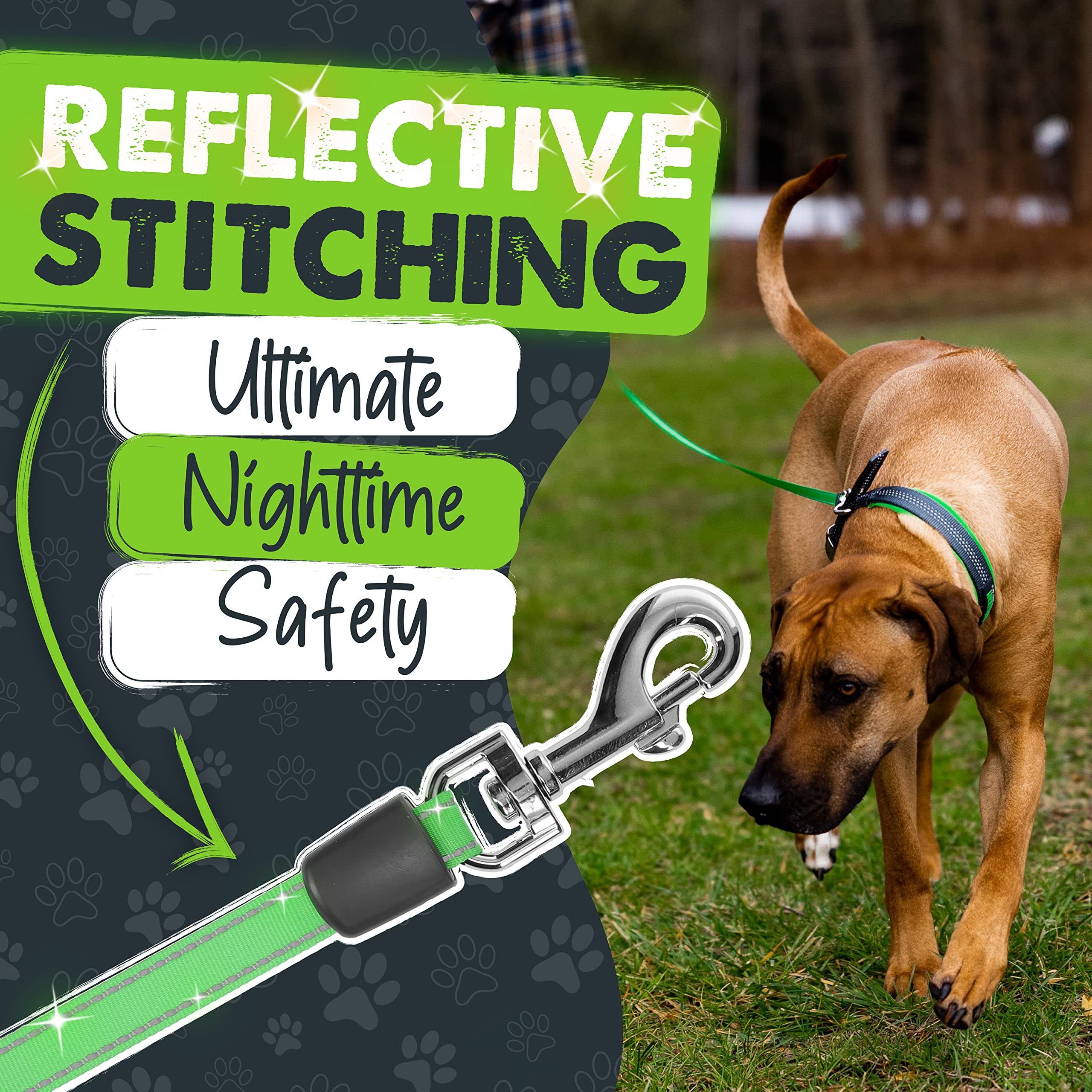 Mighty Paw reflective tape on leash enhances visibility for night walks