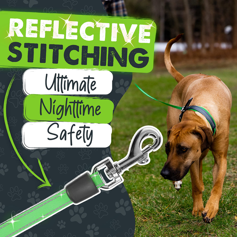 Mighty Paw reflective tape on leash enhances visibility for night walks
