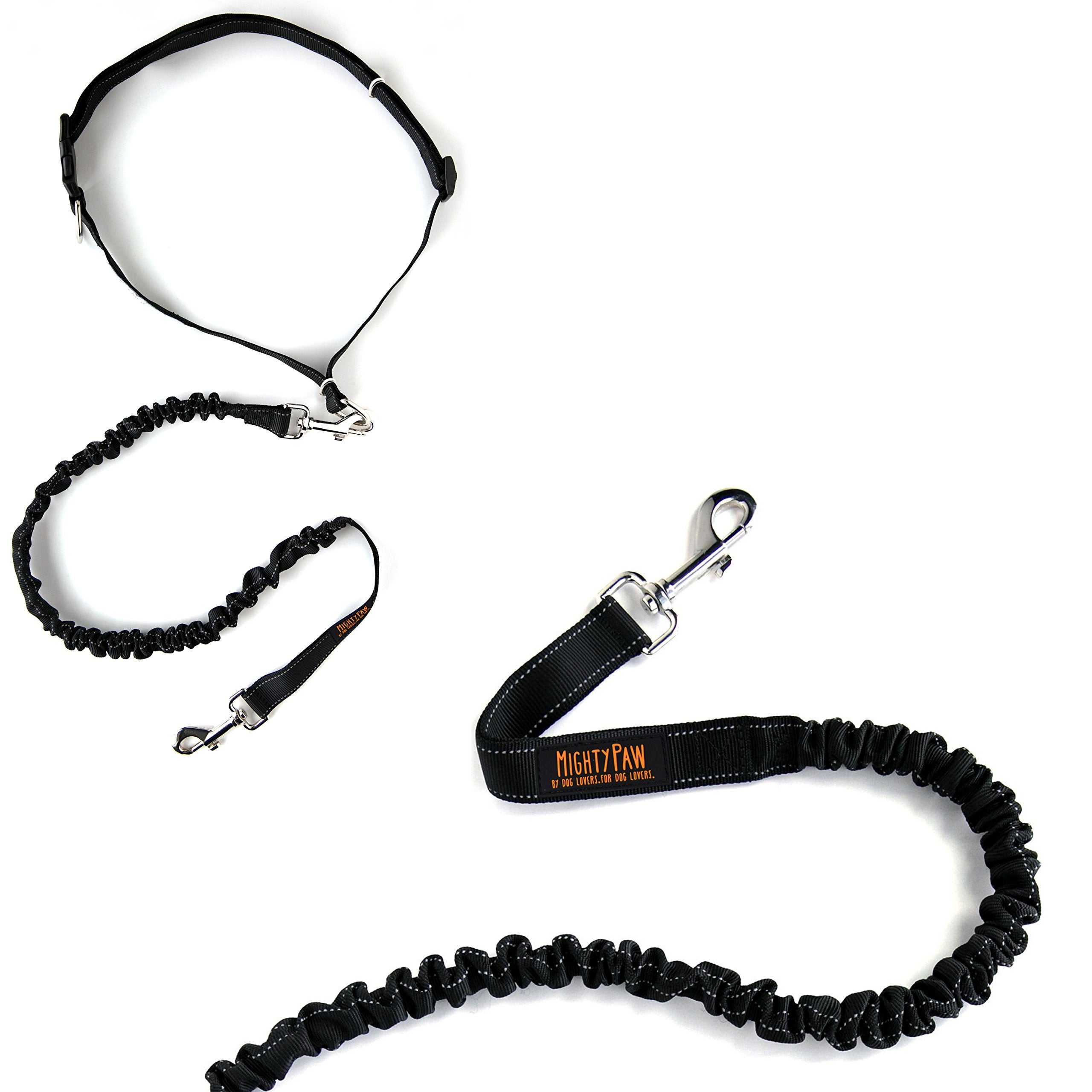 Mighty Paw Reflective Threading improves visibility during dawn or dusk walks.