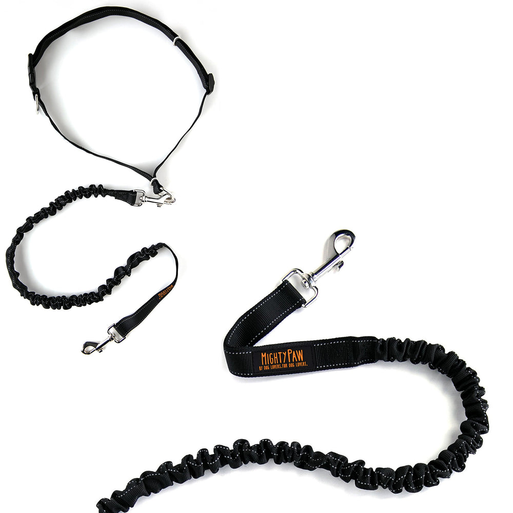 Mighty Paw Reflective Threading improves visibility during dawn or dusk walks.