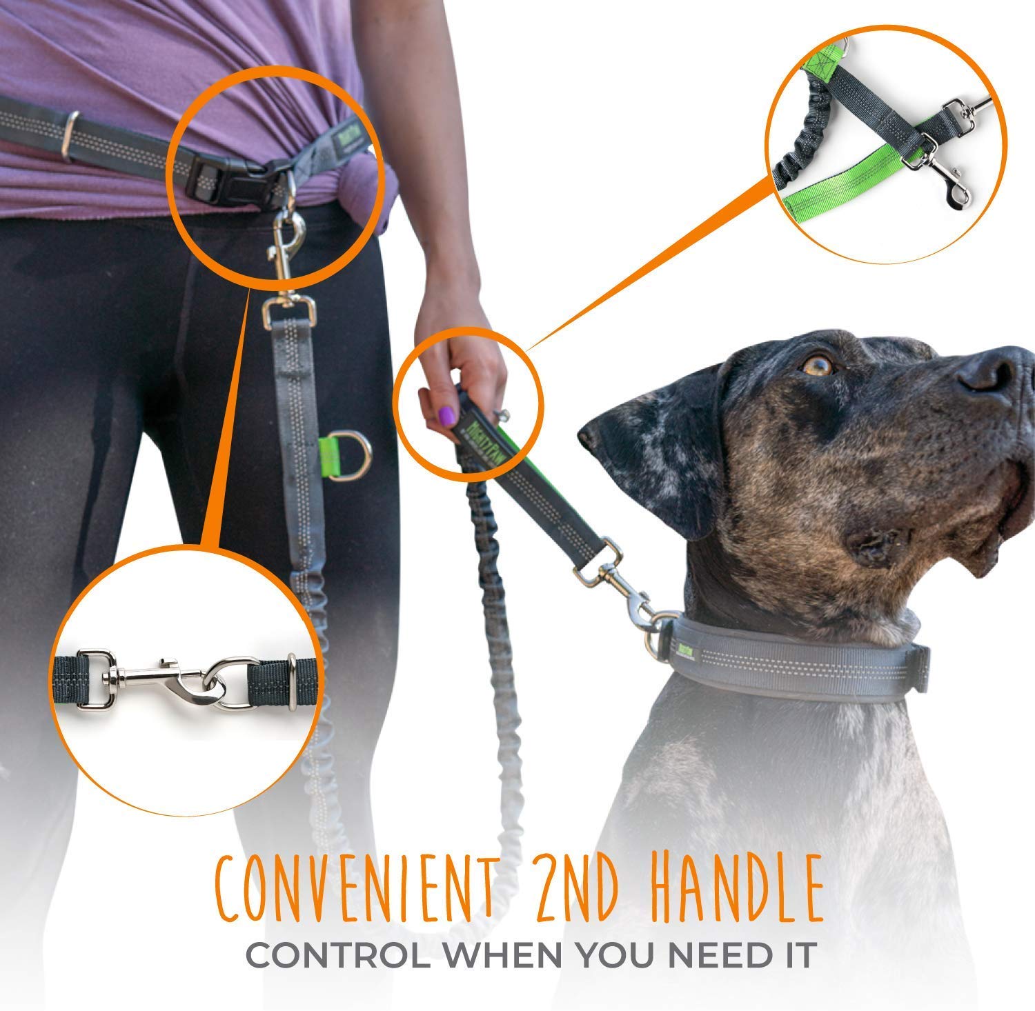 Mighty Paw reflective threading gray increases visibility during low-light strolls.