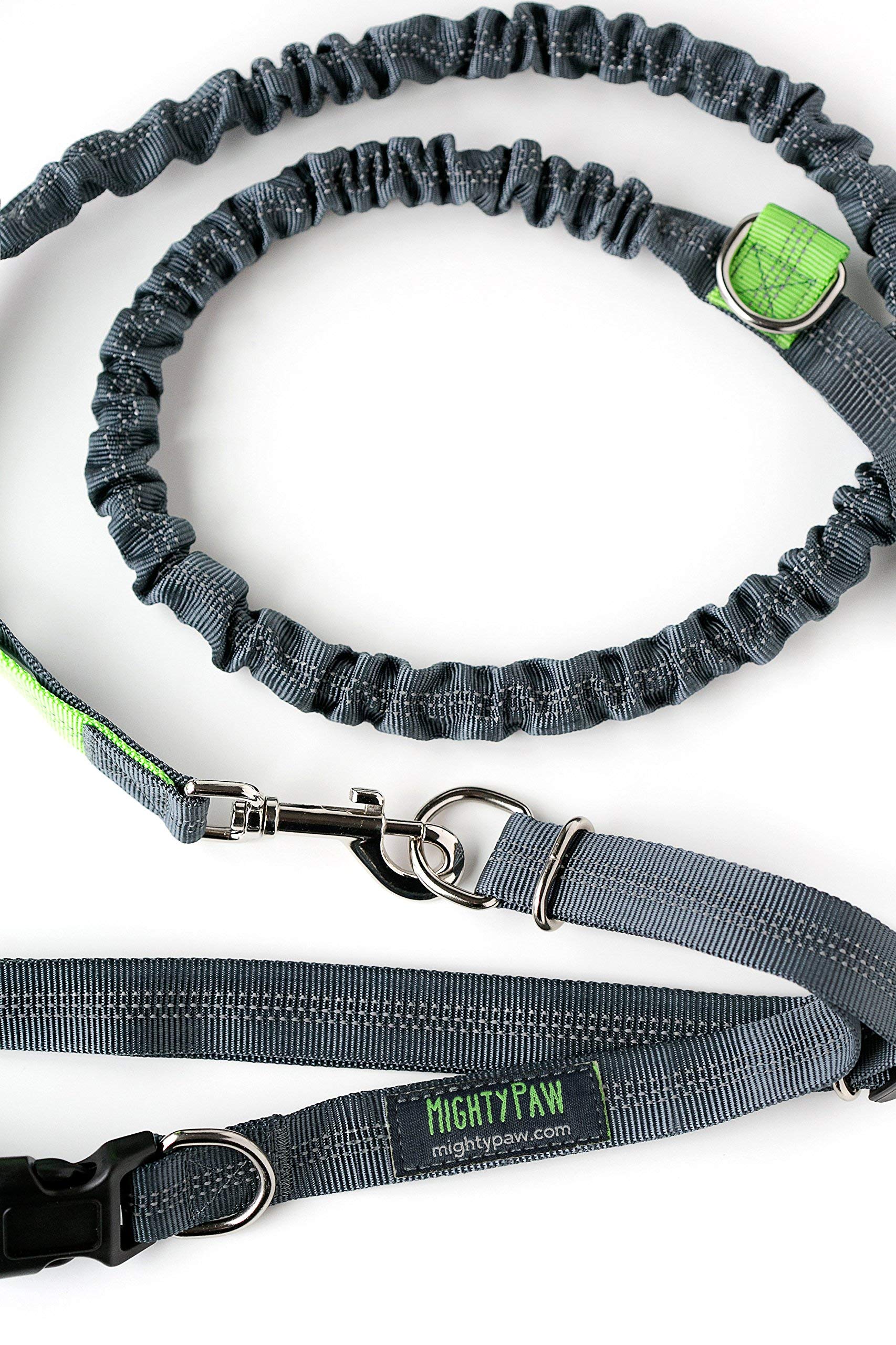 Mighty Paw reflective threading enhances visibility during low-light walks.
