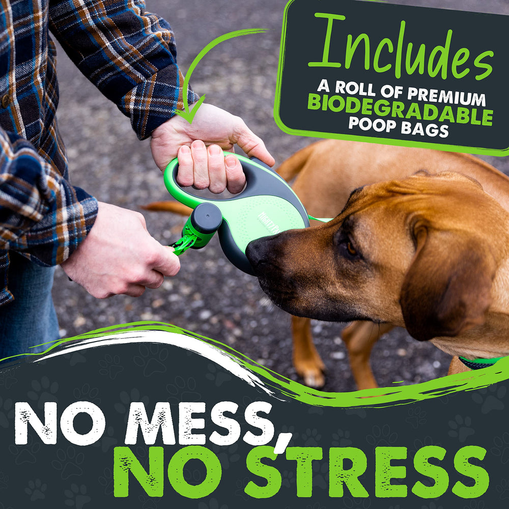 Mighty Paw retractable leash reflective nylon tape for safer evening walks.