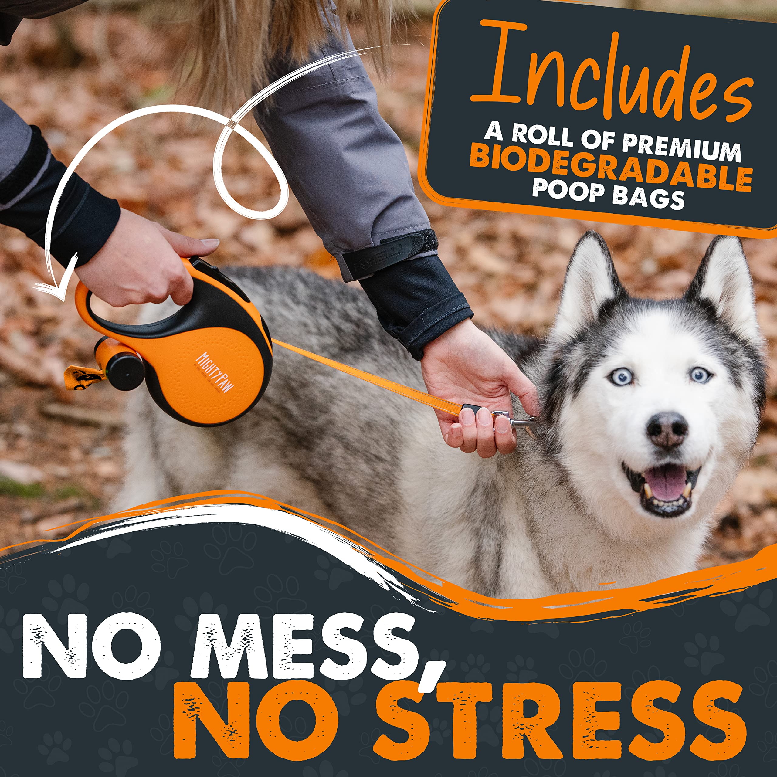 Mighty Paw reflective nylon tape increases visibility on dusk walks