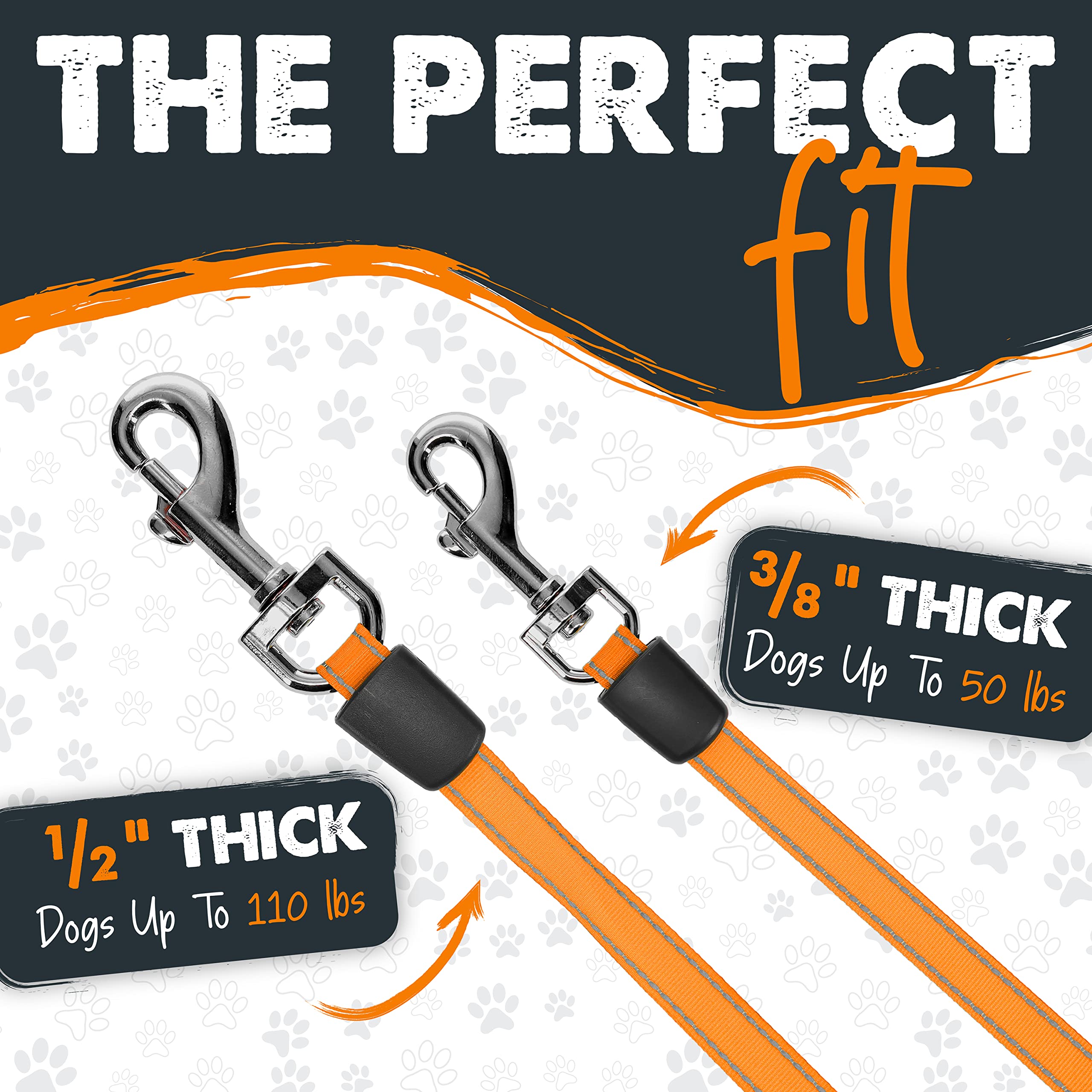 Mighty Paw stainless steel coil reduces jams during adventures