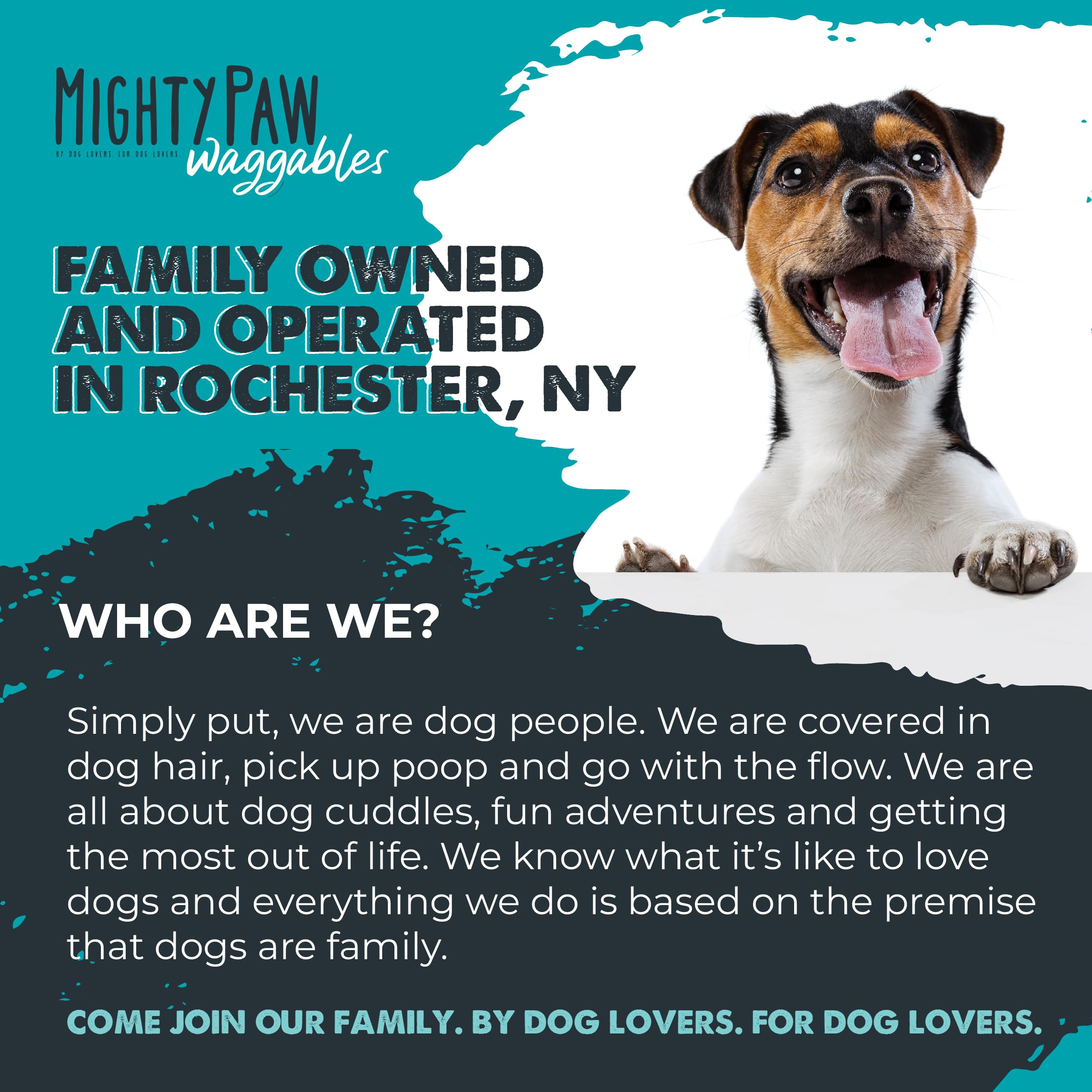 Mighty Paw Rochester NY facility image signals homegrown manufacturing and pet-focused quality